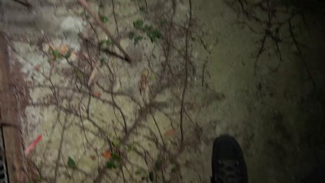 ДИМА МАСЛЕННИКОВ-Ночь в Заброшенной Японской Лаборатории! Я в Шоке! Сталкеры!!