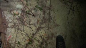 ДИМА МАСЛЕННИКОВ-Ночь в Заброшенной Японской Лаборатории! Я в Шоке! Сталкеры!!