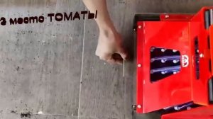 3 успешных варианта для старта тепличного бизнеса