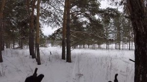 GOPR8081_1770587076540.MP4