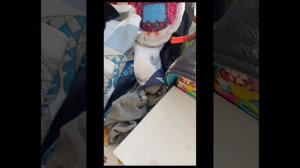 знакомство подарок от басика на 8 марта /1 видео