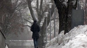 Cиноптики обещают наступление настоящей весны в столичном регионе.