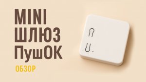 Мини шлюз ПушОк.