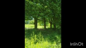 за милых дам в этот праздничный день!!!