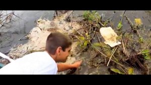 собираю пластиковую рыбку ЧАСТЬ 40