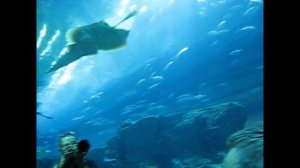 Дубай эмират Аджман 2011