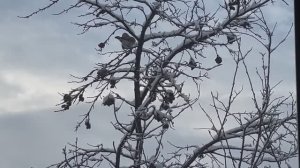 Готовлю лапшу домашнюю// Болталка// 🌹