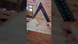 1000050944.mp4 (Собака наблюдает за устройством лестницы на 2-ой этаж в доме А-фрейм)