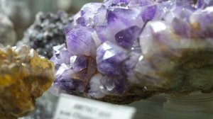 Каменная летопись Сибири: Минералогический музей ИРНИТУ