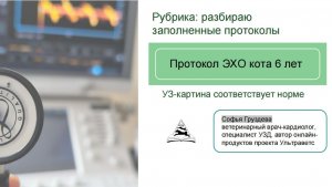 Разбор протокола ЭХО метиса кота | Почему ГКМП-фенотип при гипертиреозе?