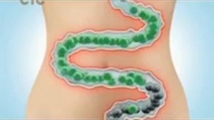 Рекламные блоки и анонсы (СТС, 09.03.2013)