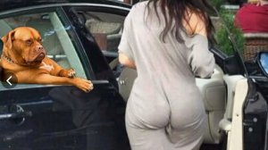 Прикольные Друзья Человека