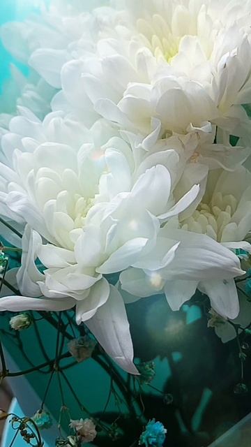 Цветы от любимых мужчин ❤️