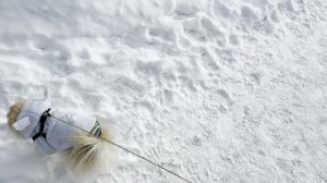 скульптуры на море