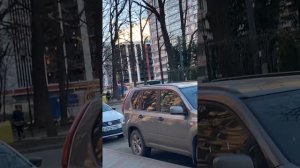 Прогулка, новый клиент и просто болталка