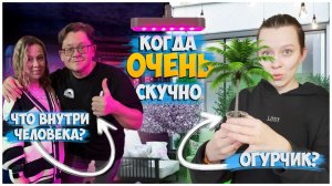 СЕМЕЙНЫЙ ВЛОГ / АЛЕКСЕЙ РЕШЕТУН / НАХОДКИ В ТЕЛЕ ЧЕЛОВЕКА / РАССАДА НА БАЛКОНЕ / ОТДЫХ БЕЗ РЕБЕНКА