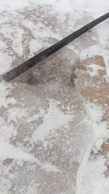 Опыты с Кириллом