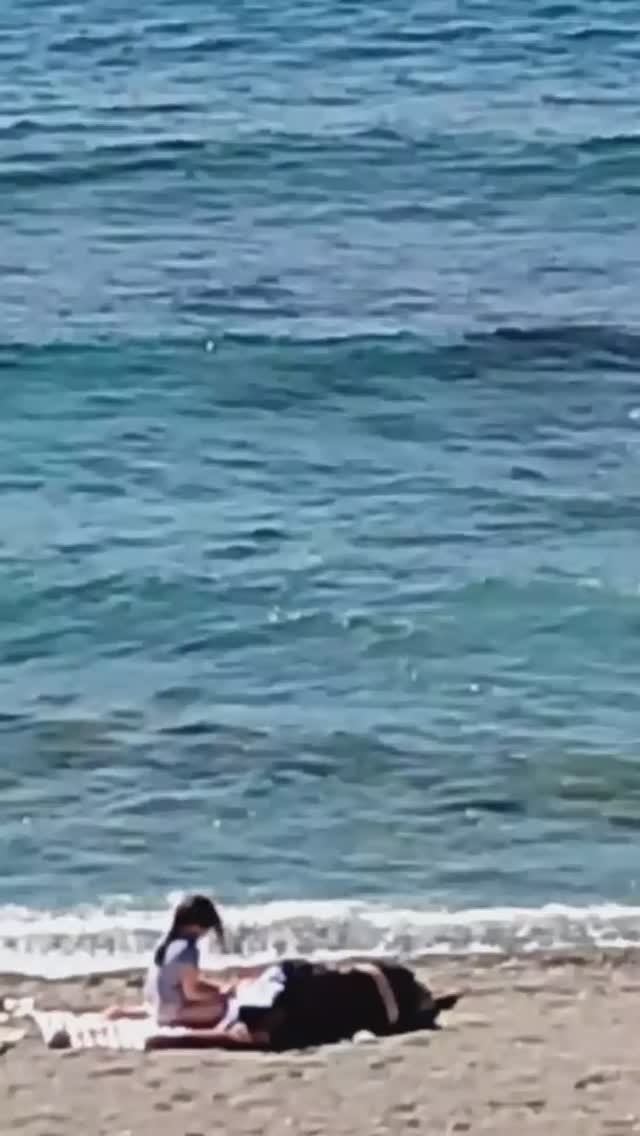 7 марта БЕРЕГ МАХМУТЛАРА. ТУРЦИЯ 2026.