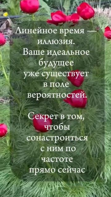 🟣🟢 Ваше будущее уже случилось. Как в него войти?