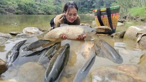 После дождя девушка расставляет ловушки и ловит огромный косяк рыбы. Традиционные навыки рыбалки