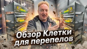 Клетка для перепелов 2025