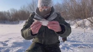 Весна или зима? Вот в чем вопрос!