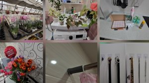 09.03.2026 г День со мной/ Мои покупки/ Заказ с Wb/ Укладка волос/ Лайхак/ Комнатные растения