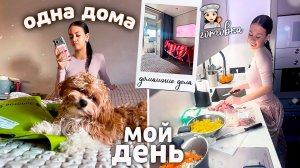 Мой день БЕЗ ПАРНЯ ❤️ ГОТОВЛЮ ЕДУ и просто ЧИЛЛЮ🧸🎀
