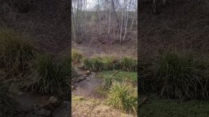 Весенняя прогулка по парку