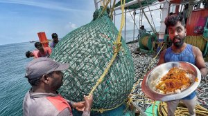 Огромный улов рыбы, пойманной с помощью глубоководной траловой сети
