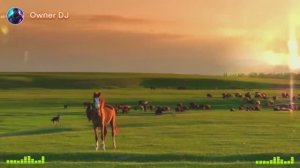 Owner DJ - ℍ𝕠𝕣𝕤𝕖𝕤 𝕚𝕟 𝕥𝕙𝕖 𝕎𝕚𝕟𝕕 🔥 (🄴🅄🅁🄾🄳🄰🄽🄲🄴 🄼🄸🅇)