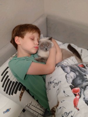 фз что я делаю