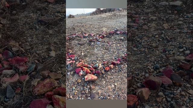 Пока горит любовь