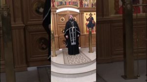 Деятельная и созерцательная духовная жизнь. Об утруждении тела. Проповедь о. Андрея.