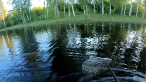 Рыбалка 07.06.23