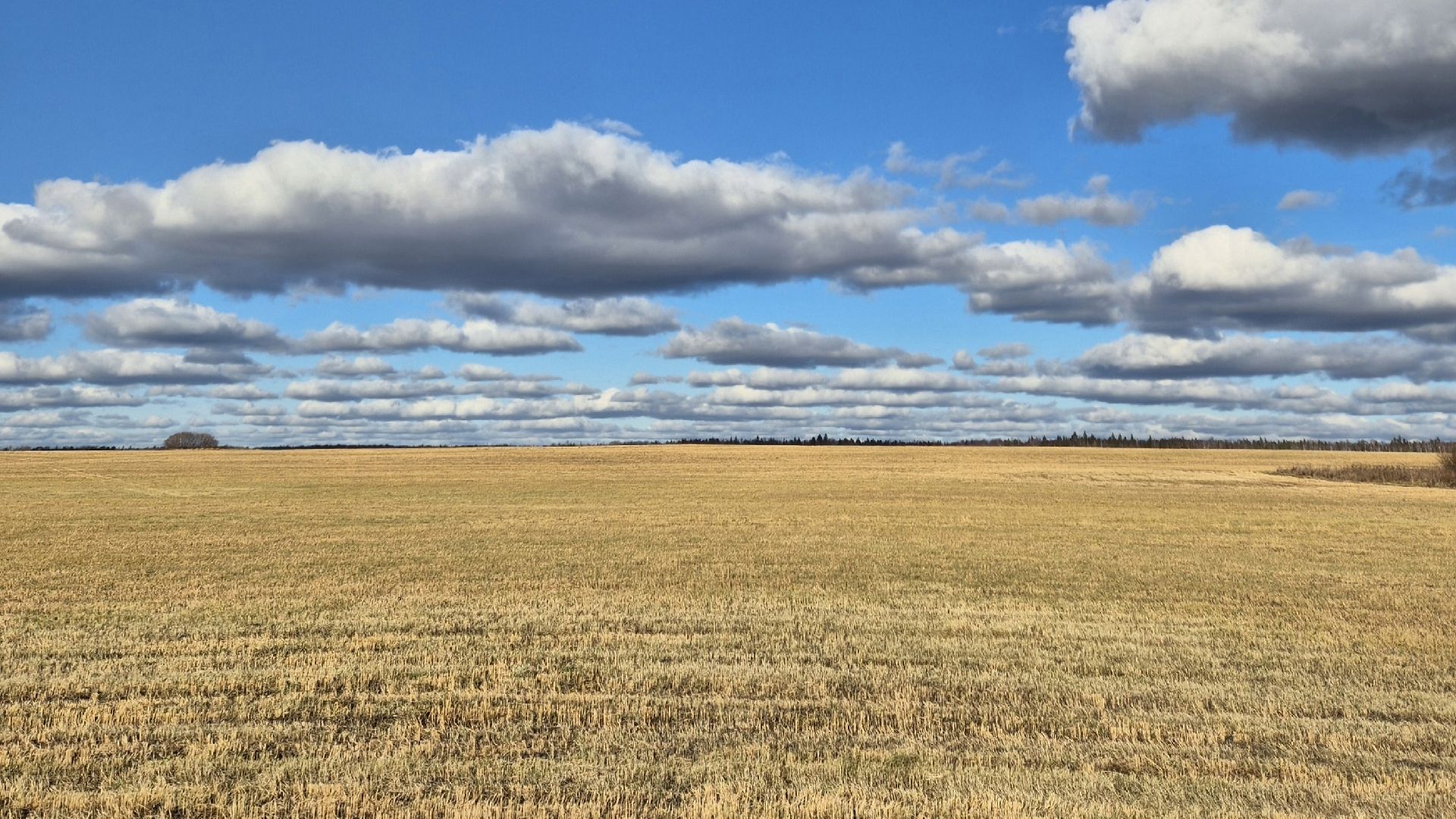 Jakob Van Kampen - positions