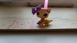 вопрос-ответ с LPS