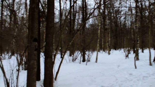 8 марта, сугробы 70 см