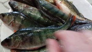 Рыбалка удалась.