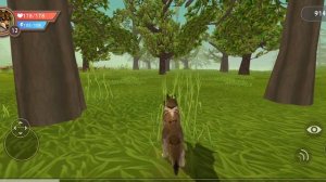 выполняем задания, выращиваем детёныша +баг в игре Wildcraft