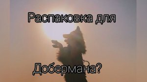 распаковка на 16 пдп 🫶