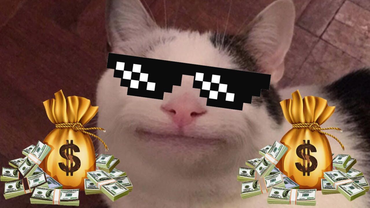 Играю  в маинкрафт на сервере  ReallyWorld