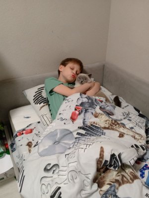 смотрю матч динамо Москва динамо минск