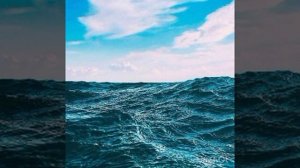 The Kelly Family - We had a dream. У нас была мечта. 2019 (FM1)