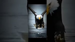 Нуриян Ишҡолов  - Һағынма