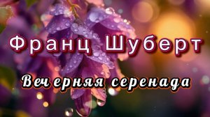 Франц Шуберт, Вечерняя серенада, Классическая музыка