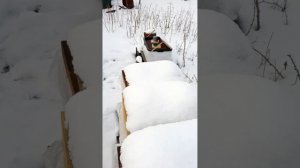 Сюрпризы погоды. Ровно через неделю после двух хороших объектов.