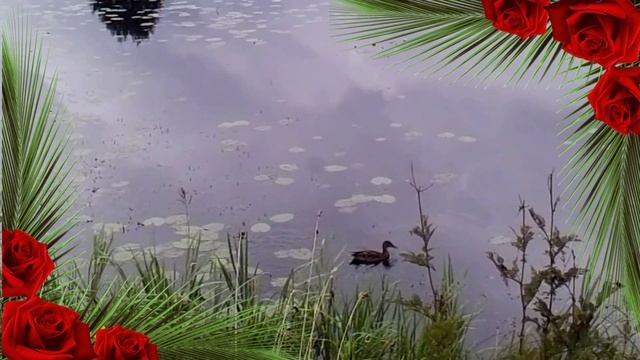 НЕ ПРОГОНЯЙ