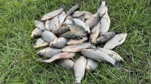 Рыбалка на боковой кивок в нвчале Весны! Нашли где веснует Карась!