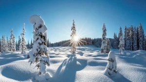 ♫.. J.S. Bach - _Siciliano_ , Sonate NO. 2. Bwv 103]  - Szentpéteri Csilla